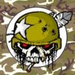 pic for army skull